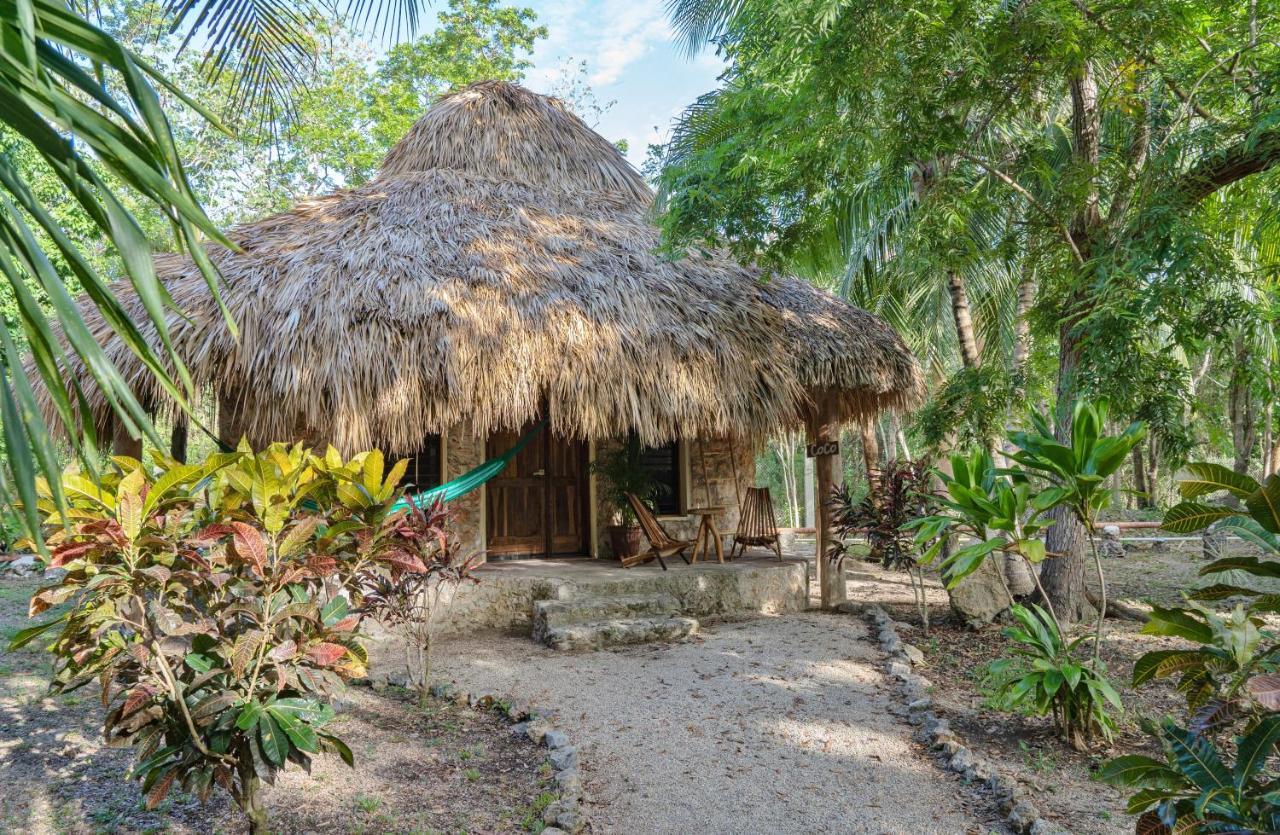 בקאלאר Villas Ecotucan מראה חיצוני תמונה