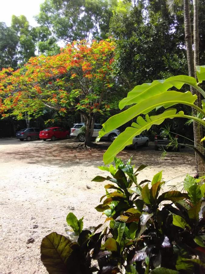 בקאלאר Villas Ecotucan מראה חיצוני תמונה